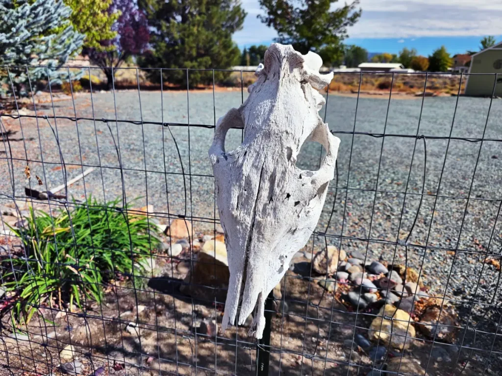 20250930_110145