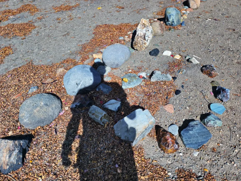 20250930_110213
