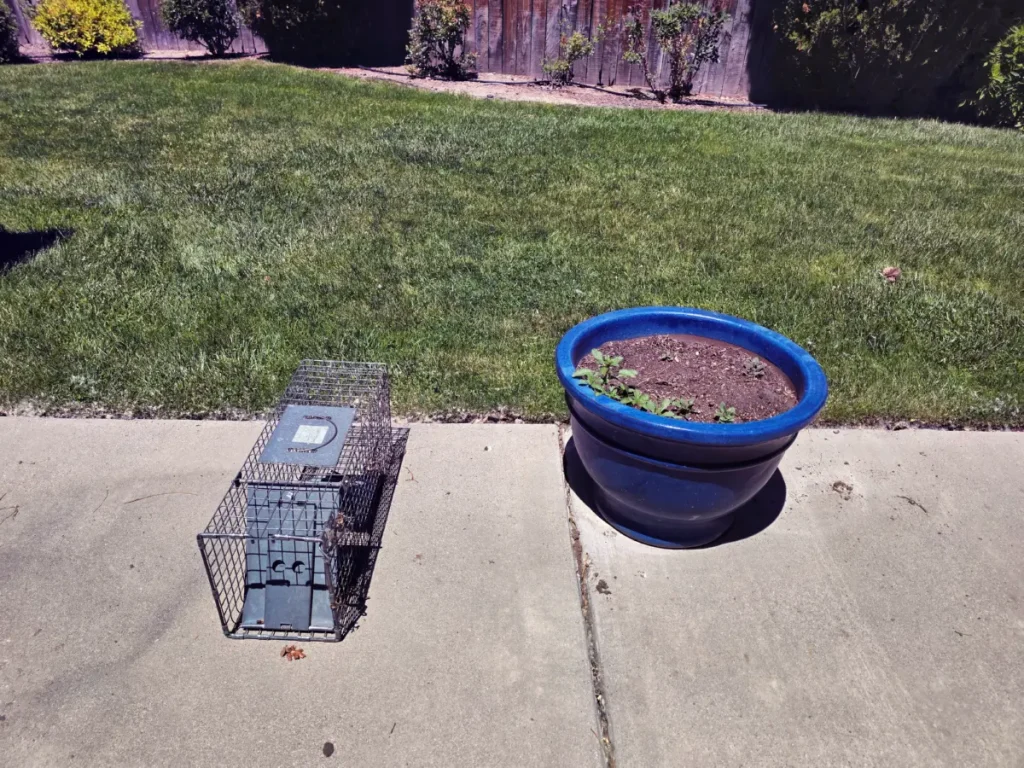 20260525_130515