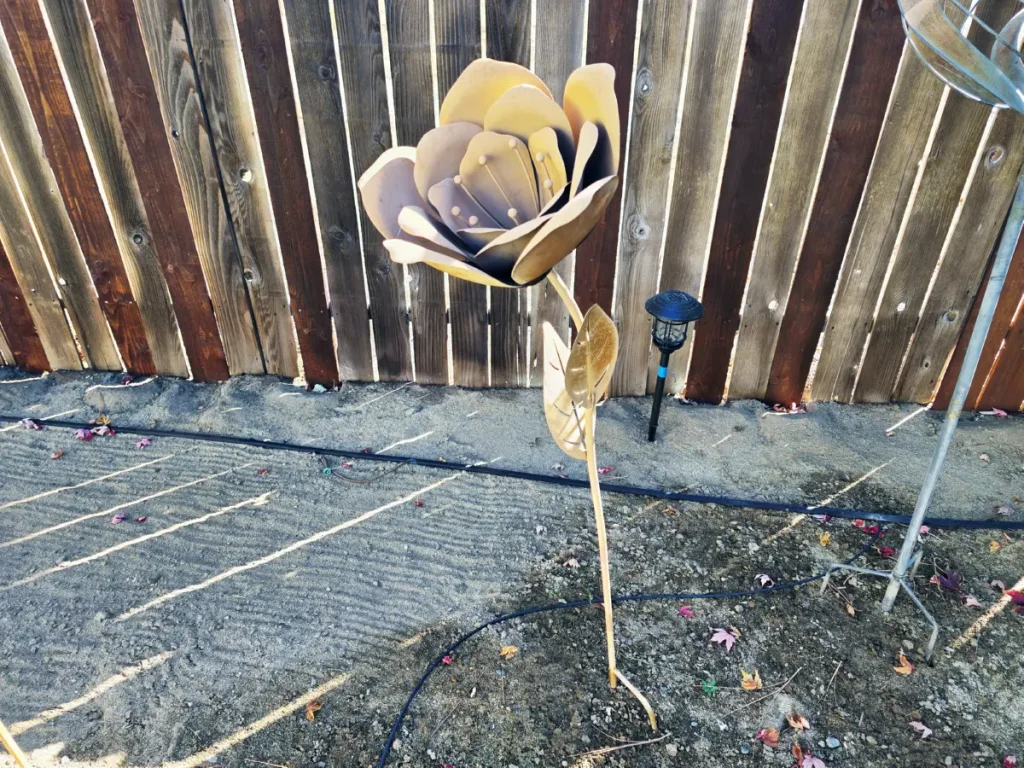20261006_104257